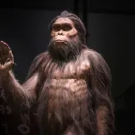 How to Respond to Common Criticisms of Intelligent Design