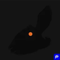 Mere Perspective مجرّد منظور