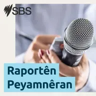 Festivala Şanoya Amedê ya Navnetewî bi 22 lîstikan destpê kir