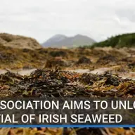 Cainteoirí ó chruinniú na hoíche aréir i Rosmuc faoi chúrsaí feamainne.