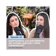 Phitlosofía - Adaptógenos, los suplementos del futuro. ¿Qué son y cómo consumirlos? - T.05 Ep.43