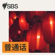 【SBS新闻快报】澳洲全国卫生部长会面 公立医院资金谈判将成焦点
