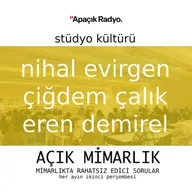 Stüdyo Kültürü