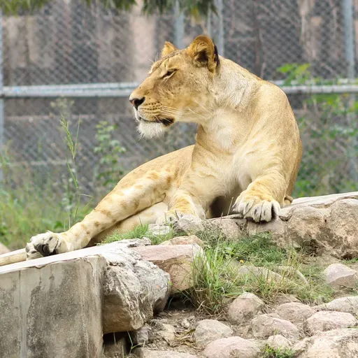 Lo Zoo di 105 2025-12-26 13:50