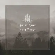ফেয়ার লেবার স্ট্যান্ডার্ডস অ্যাক্ট অফ 1938 (পার্ট IX) - পর্ব 247