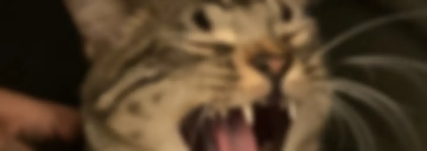 独树不成林