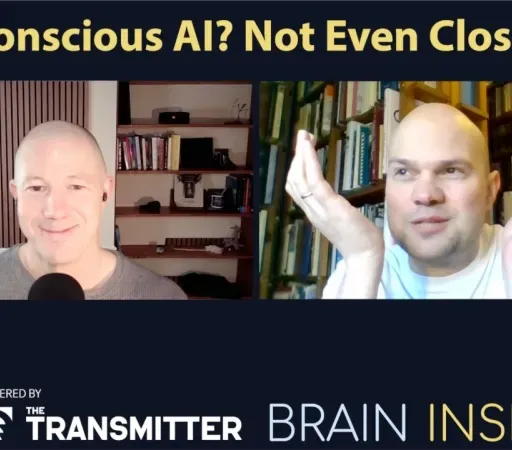 BI 231 Jaan Aru: Conscious AI? Not Even Close!
