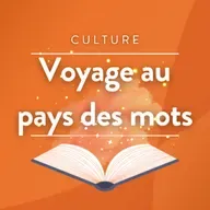 Cent ans des Arts de la Scène à Visé (vol 8)