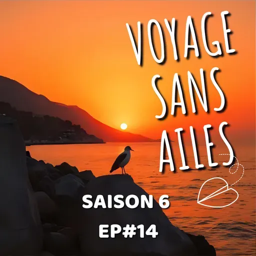 Quand le mouvement soigne