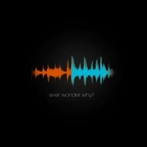 Ever wonder Why?