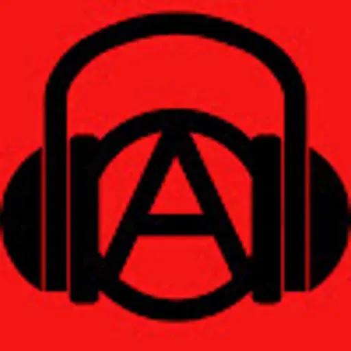 What Is Practical Anarchy? (Part 1)