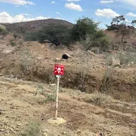 የዐርብ ጥር 22 ቀን፣ 2018 ዓ.ም ዜና መጽሔት