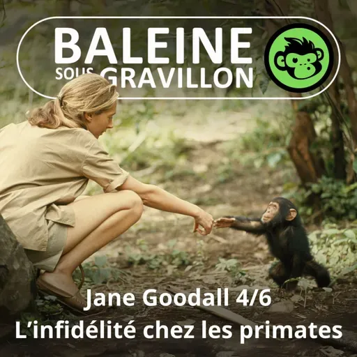 S07E24 Jane Goodall 4/6 : De l'infidélité chez les primates (Emmanuelle Grundmann)