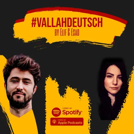 Barbaros Şansal: Türkiye'ye kadavram bile dönmeyecek  #vallahdeutsch  #1