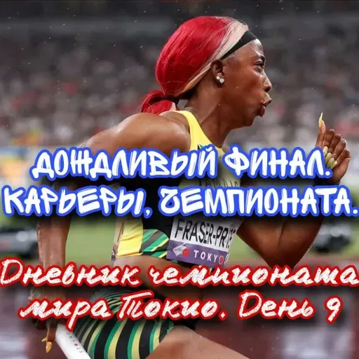 Дневник чемпионата мира Токио. День 9. Дождливый финал. Карьеры и турнира. Шелли Энн всё. ЧМ всё