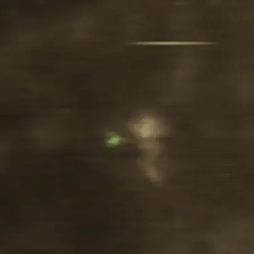 Se influenzavirus angribe en levende celle i realtid