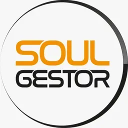 Soul Gestor - Empreendedorismo com Leandro Martins