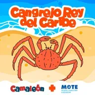 Cangrejo Rey del Caribe: El jardinero de los arrecifes