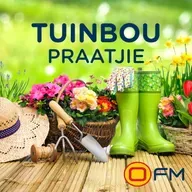 Onkruid en Gras: Wenke ná Reën