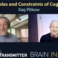 BI 219 Xaq Pitkow: Principles and Constraints of Cognition