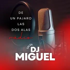 DE UN PAJARO LAS DOS ALAS