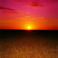 Ponto de despertar | Jornada da Consciência