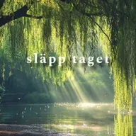 #002 - GUIDAD MEDITATION - SLÄPP TAGET