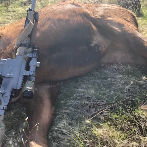 Bolt Gun University pt 2 - Triggers Safeties Muzzles - Guide to Practical Bolt Actions