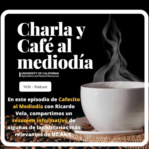Un resumen informativo con sabor a comunidad