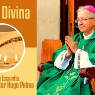 Lectio Divina 07 junio 2022