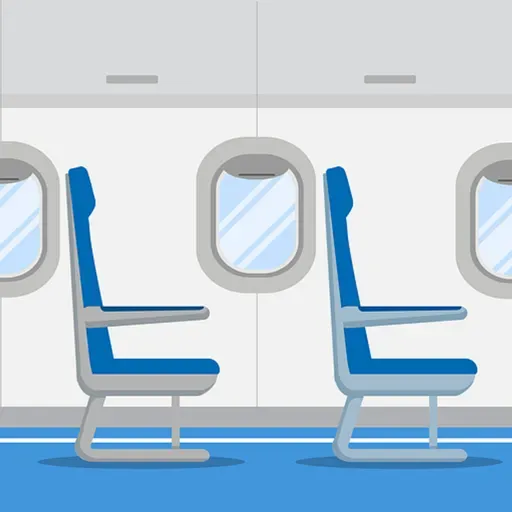 Are you paying twice for one airline seat?