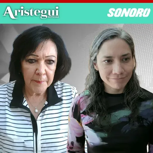 Comité de la ONU ya decidió sobre desapariciones en México: Centro Prodh | María Luisa Aguilar Rodríguez y Elena Azaola Garrido