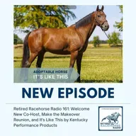Welcome New Co-Host, Make the Makeover Reunion, and It's Like This by Kentucky Performance Products - Retired Racehorse Radio