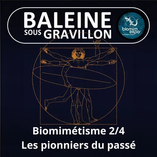 S07E37 Biomimétisme et bioinspiration 2/4 : Les pionniers du passé (Alain Renaudin)