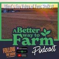 330: What's The Value of Your Stalks?