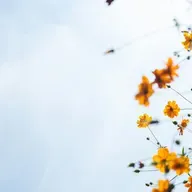 Oddaj pokłon Zmartwychwstałemu