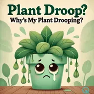 Why Is My Plant Drooping A Complete Guide to Saving Your Houseplants
