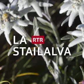 La stailalva