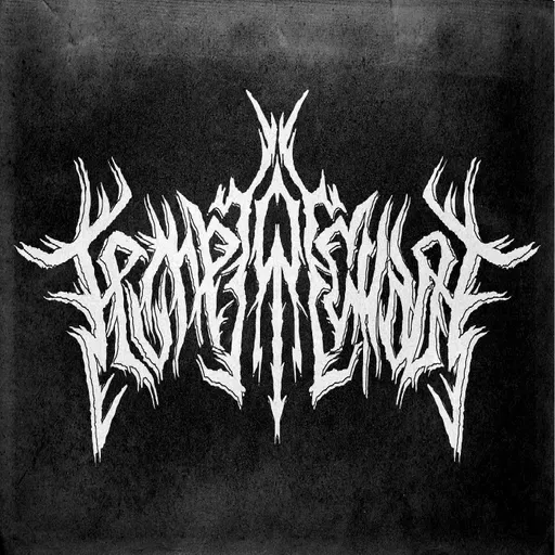 Feu | Metal | Chaos : 1995