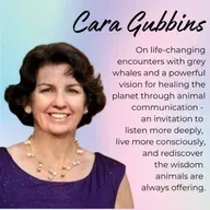 Episode 38: Becoming who we're meant to be through animal communication, with Dr. Cara Gubbins