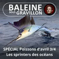SPÉCIAL Poissons d'avril 3/4 : Les sprinters des océans (Bill François)