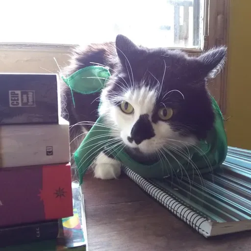 Тридцать четвертая китайская стратегема.mp3