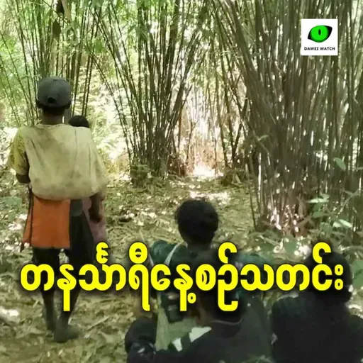 ဖေဖော်ဝါရီလ ၁၂ရက် တနင်္သာရီနေ့စဉ်သတင်း အစီအစဉ်