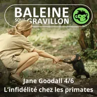 S07E24 Jane Goodall 4/6 : De l'infidélité chez les primates (Emmanuelle Grundmann)