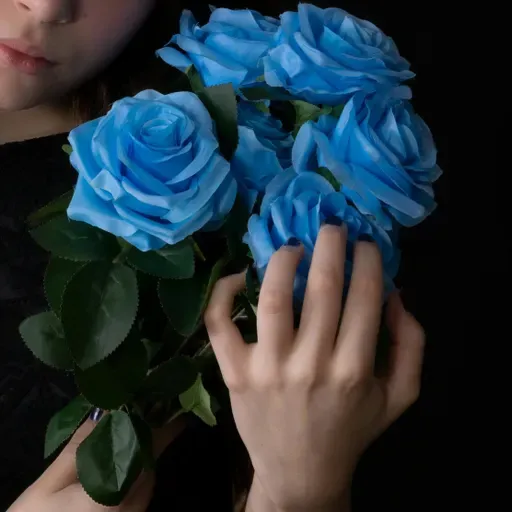 The Glass Menagerie