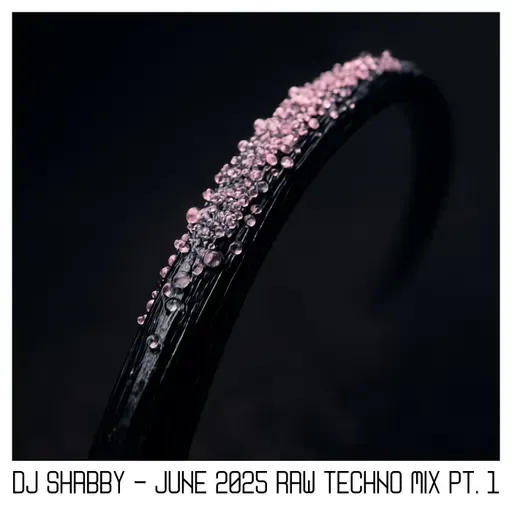 dj Shabby - June 2025 Raw Techno Mix pt. 1
