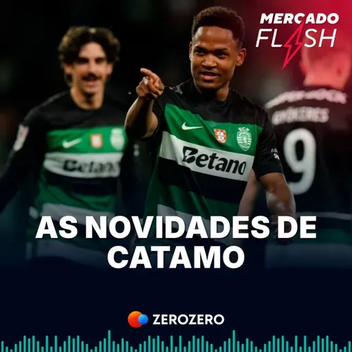 T9, Ep. 40 | As novidades de Catamo
