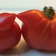What Causes Odd-Looking Vegetables?
