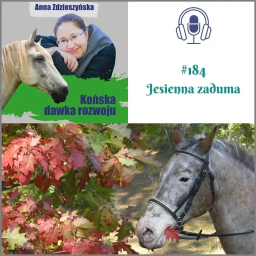 #184 Jesienna zaduma