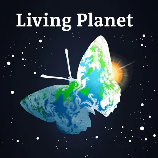 The Switch — coming soon